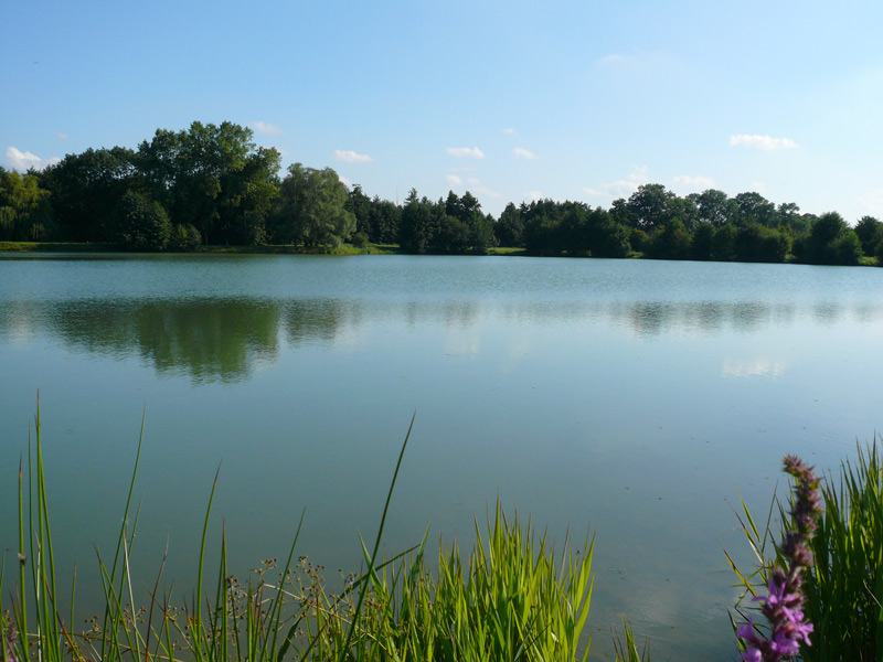 Etang Michel Hamet