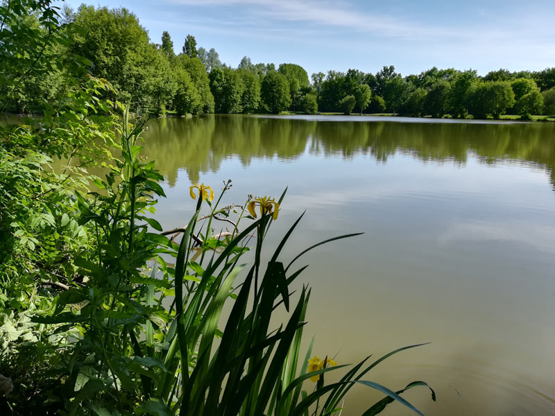 Plan d’eau du Tertre