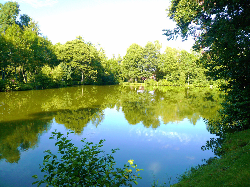 Le vieux moulin