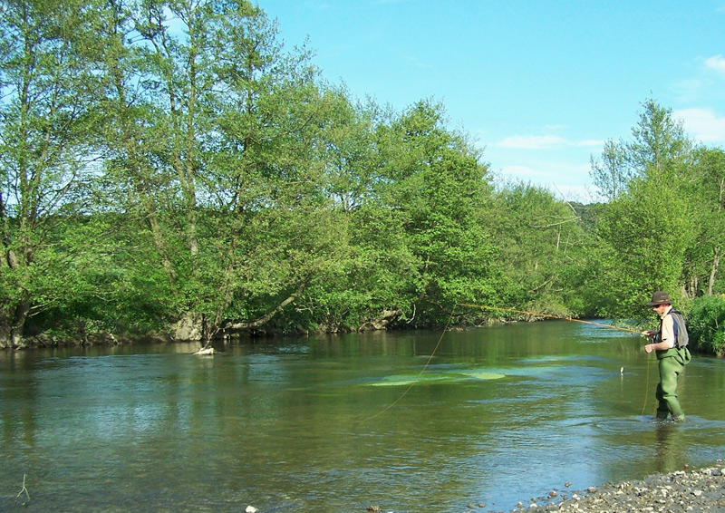 La pêche à la mouche